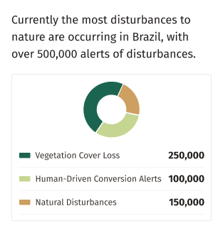 Brazil widget example